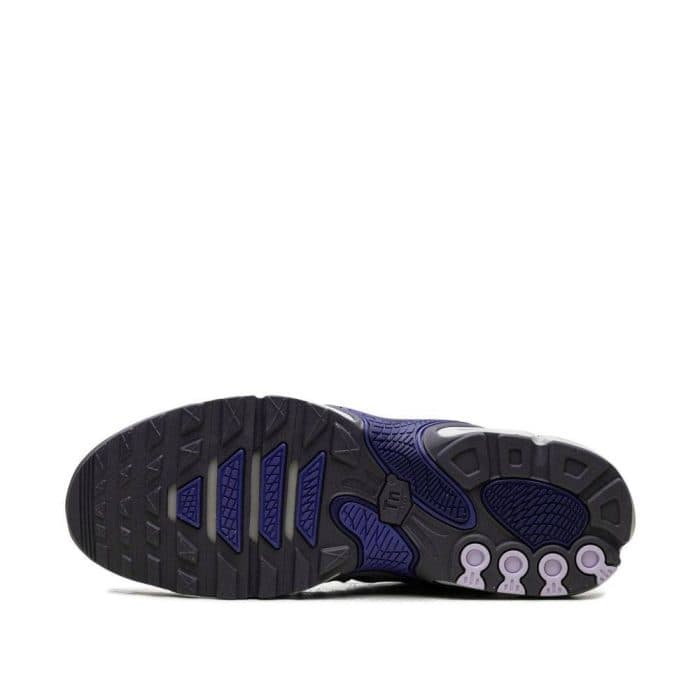 Nike Air Max Plus Drift – Concord